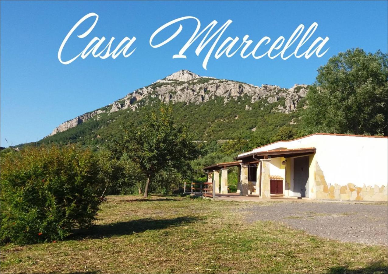 דירות דורגלי Casa Marcella מראה חיצוני תמונה